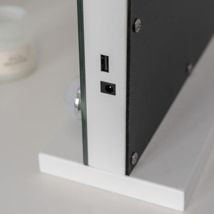 Flamingueo Makeup Mirror with Lighting