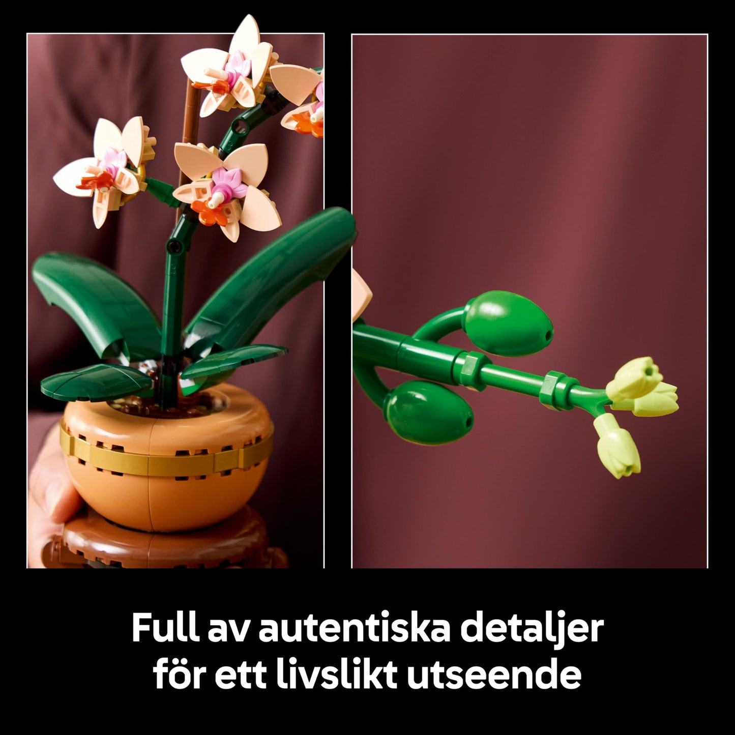 LEGO Botanicals Mini Orchid (10343)