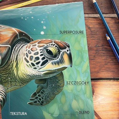 72 Coloured Pencils (Numbered) with Metal Box by Zenacolor