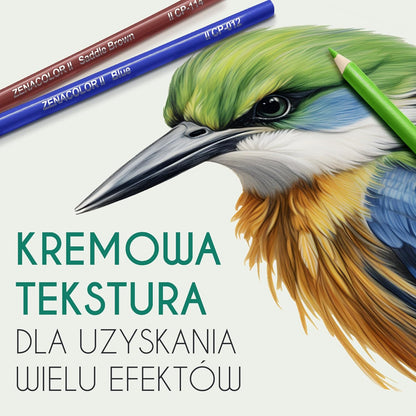 72 Coloured Pencils (Numbered) with Metal Box by Zenacolor