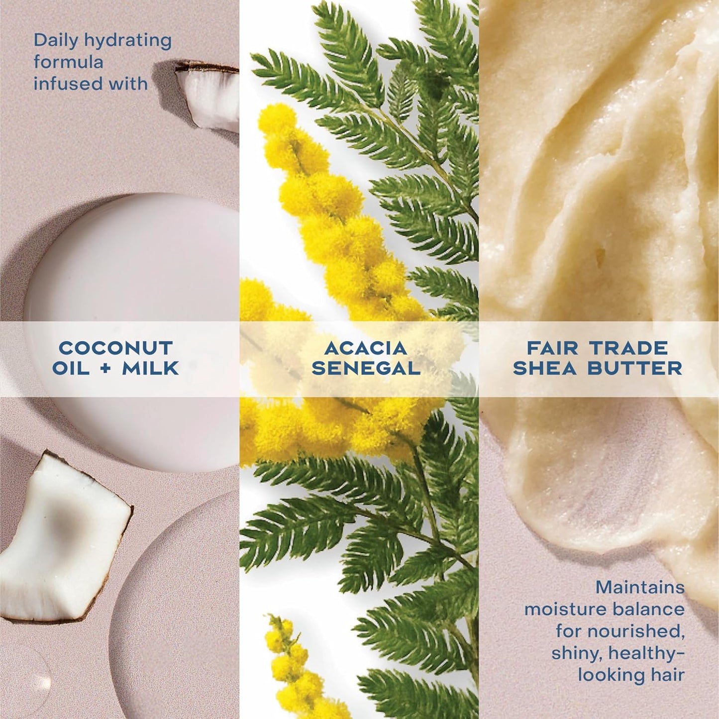 Shea Moisture 100% Virgin Coconut Oil Daily Hydration Conditioner 385ml